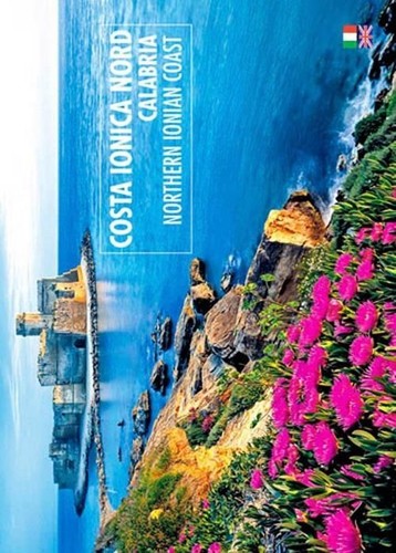 Libri dello russo - libri,