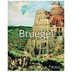 Bruegel masters art - bruegel:, of