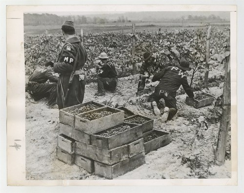 Italian prisoners war - italian,